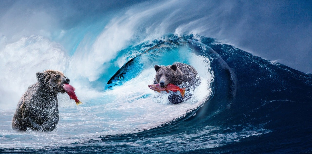 探索時尚與藝術的世界，最新圖片2017經典薈萃