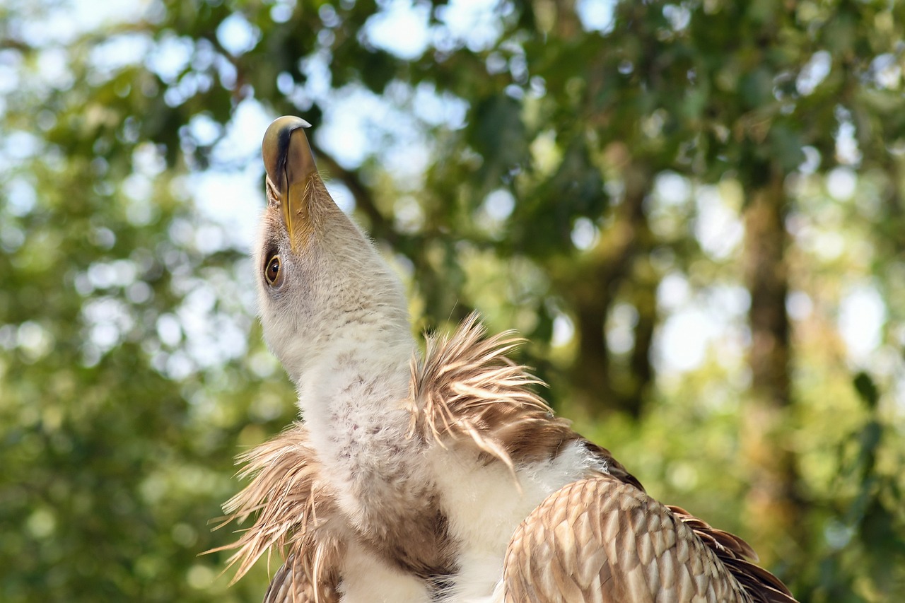 師宗最新房價動態及市場趨勢深度解析