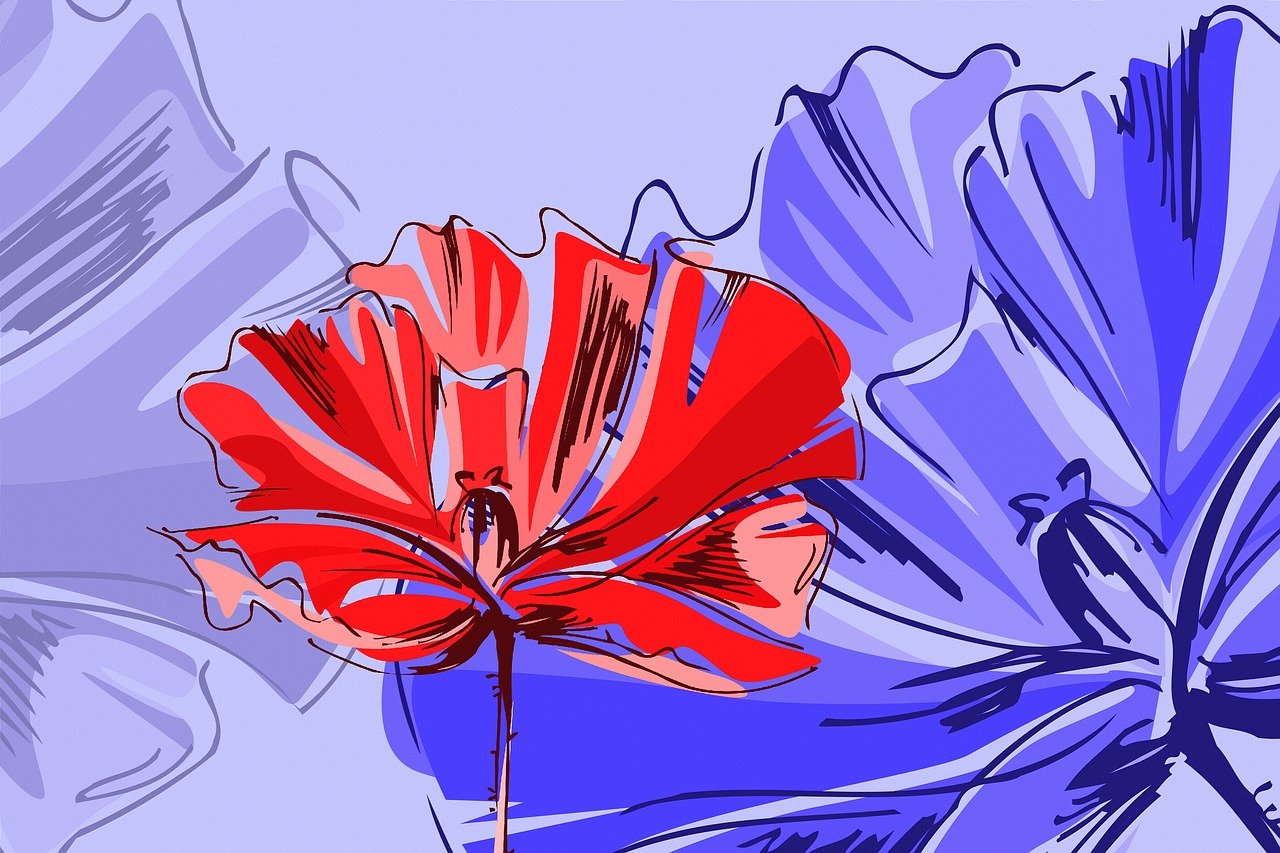 惠陽地鐵最新動態(tài),最新消息匯總