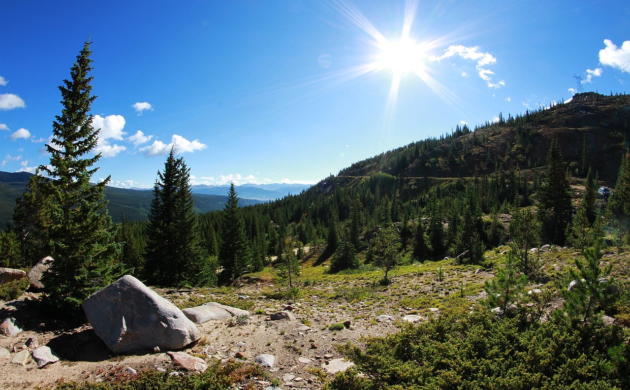 右江論壇房屋出租最新信息及動態更新