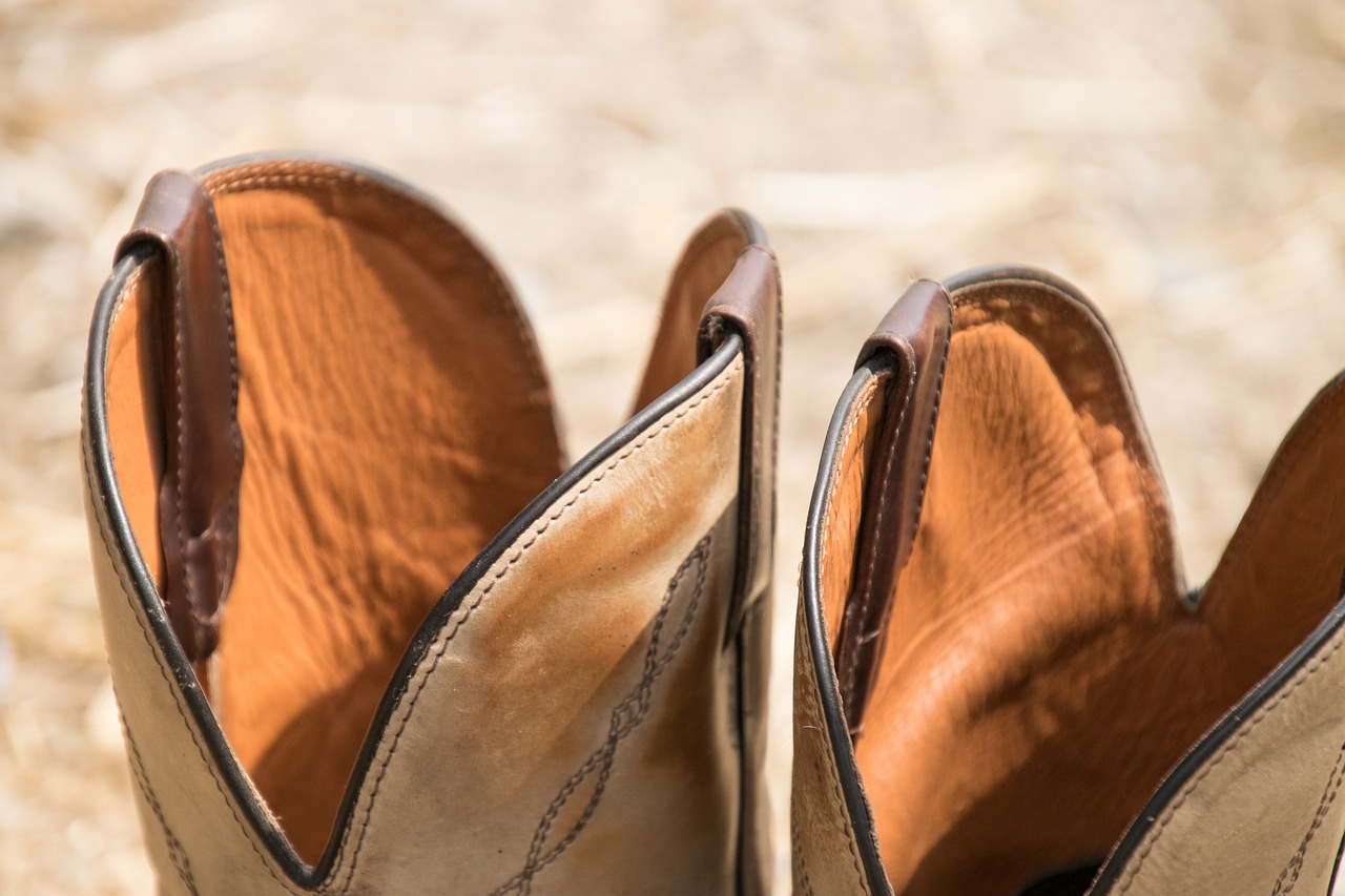 阜寧臺風實時更新,最新消息與動態