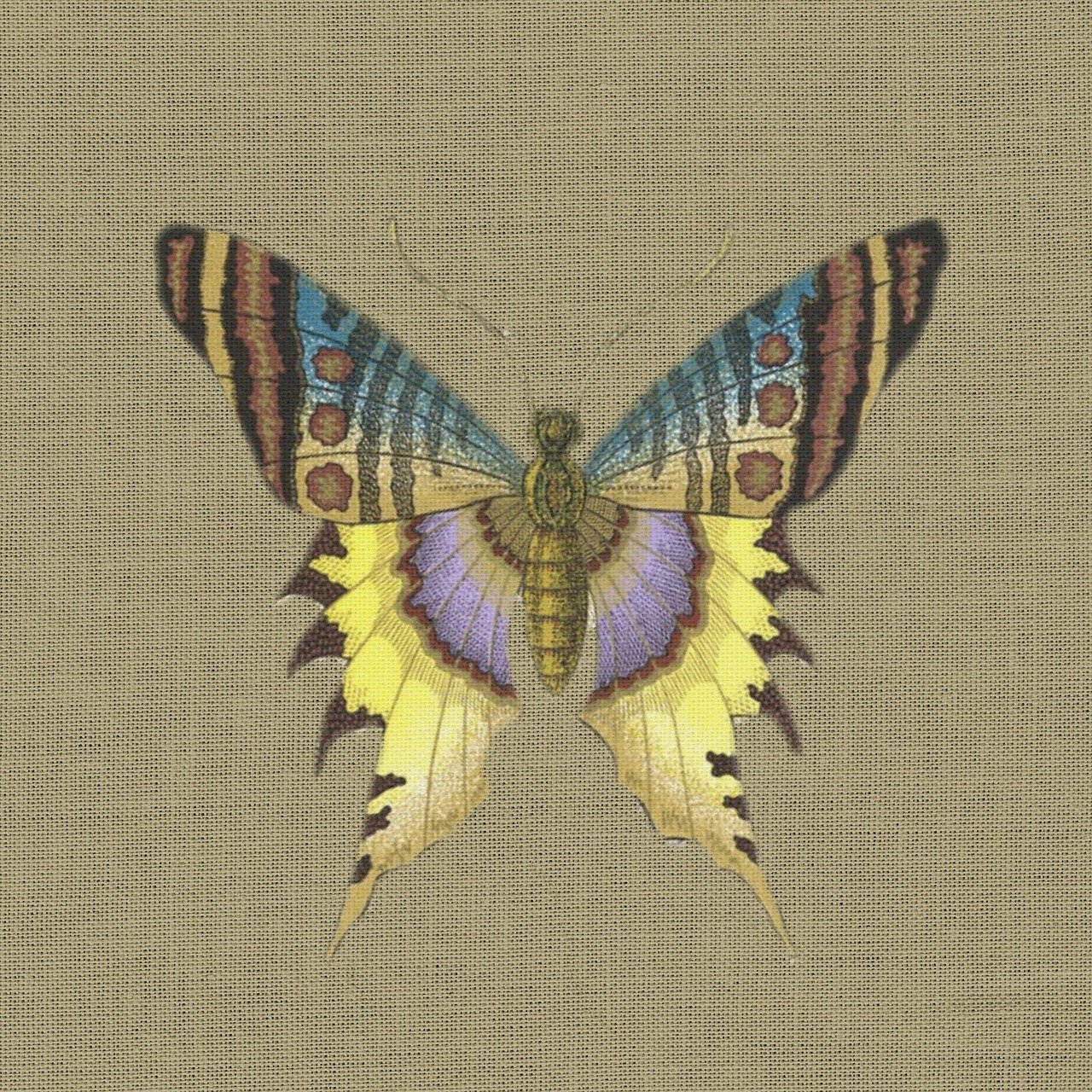 2O24管家婆一碼一肖資料,動態數據分析與處理_TT338.952