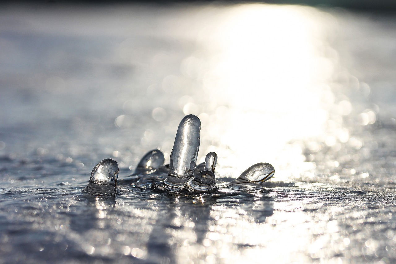 沈巷水岸陽光花園的最新動態與魅力展現