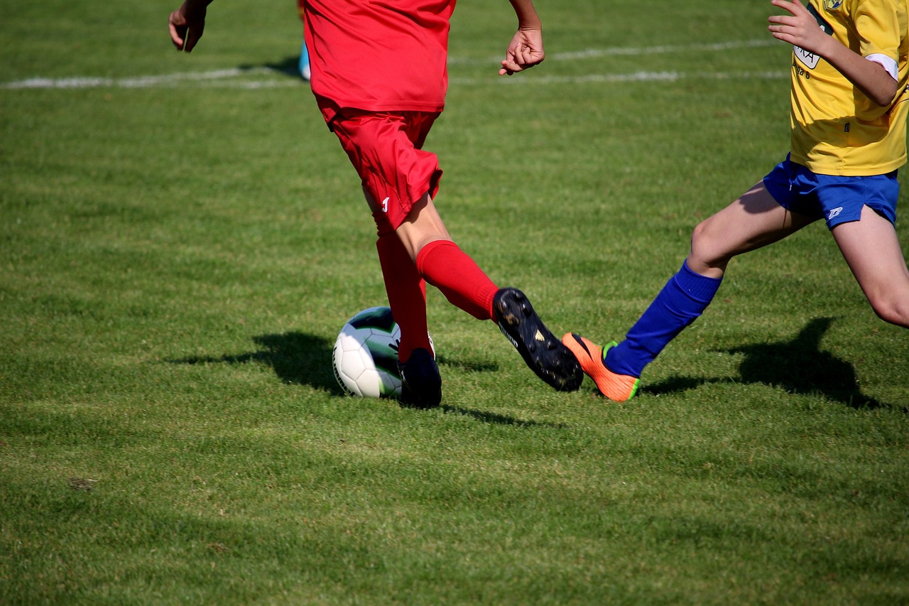 2024今晚澳門跑狗圖,可靠執行操作方式_夢幻世界版EU8097.6213