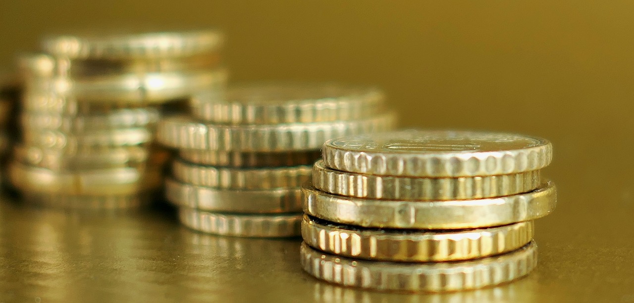 龜?shù)皟r(jià)格分析，市場(chǎng)趨勢(shì)與影響因素探討