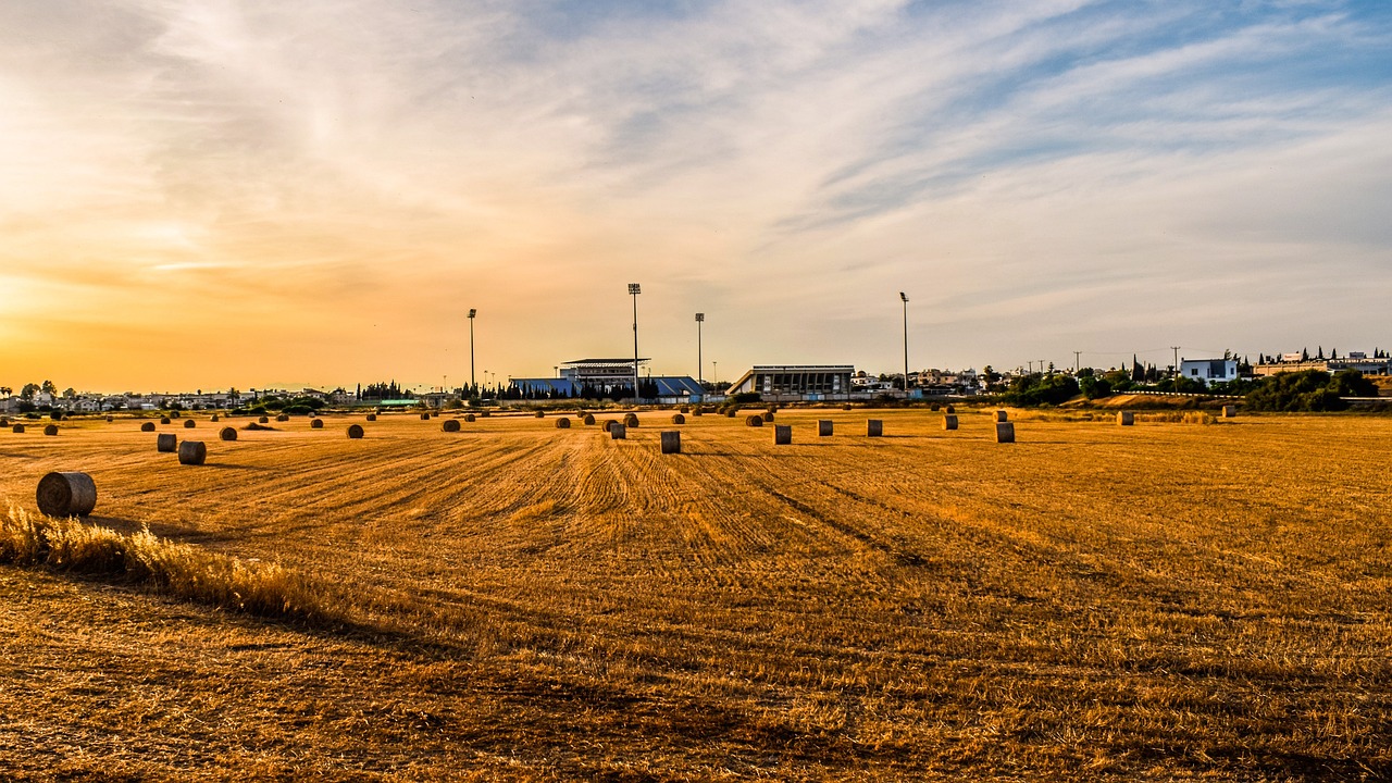 隱貞靜 第4頁(yè)