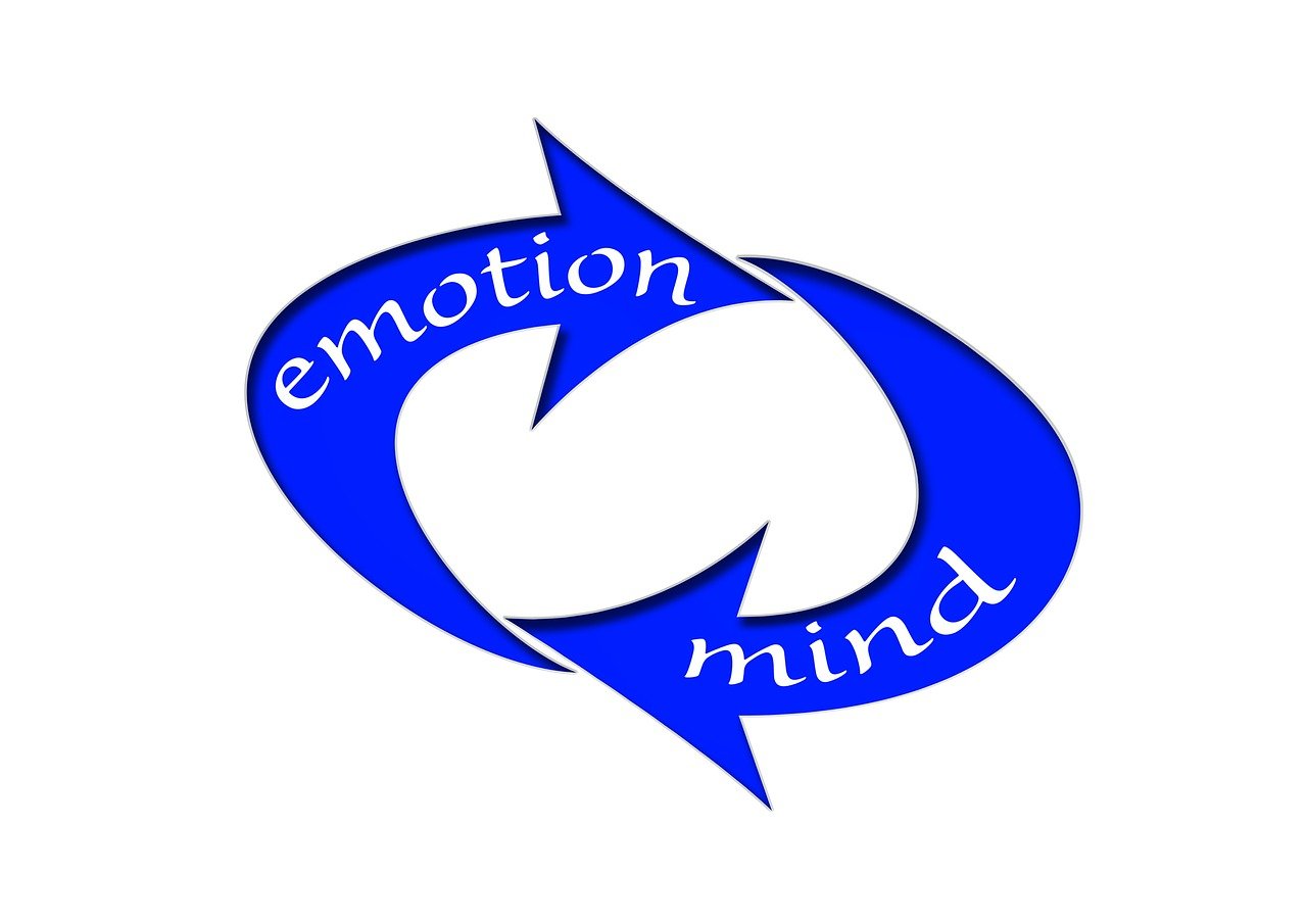 新澳門一肖一特一中,靈活性執行方案_智慧創新版88.22