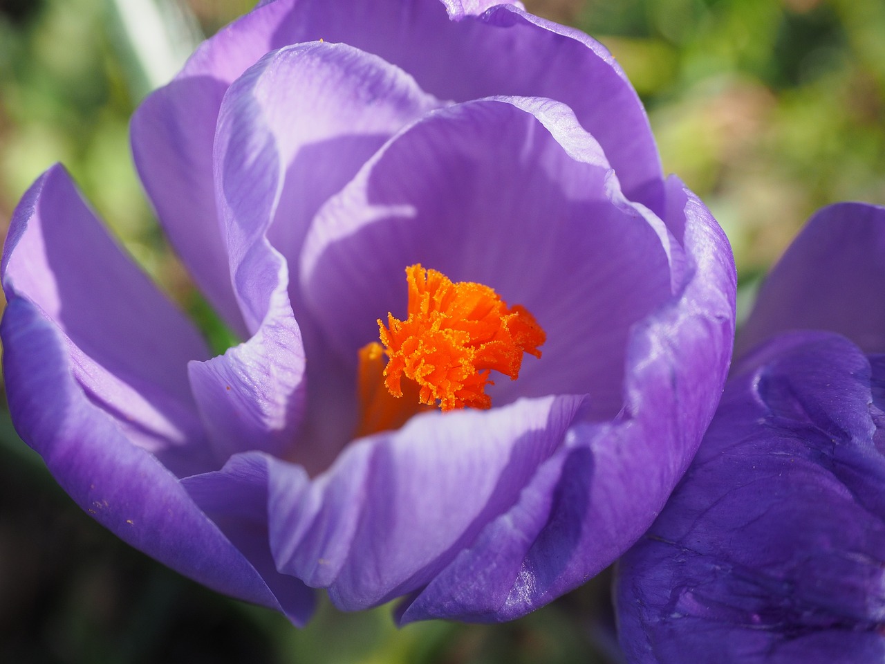 利比亞最新動態(tài)更新，最新消息與進展