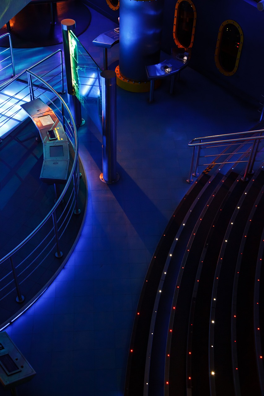 最新龍魚缸設計，特色、價值與全方位解析