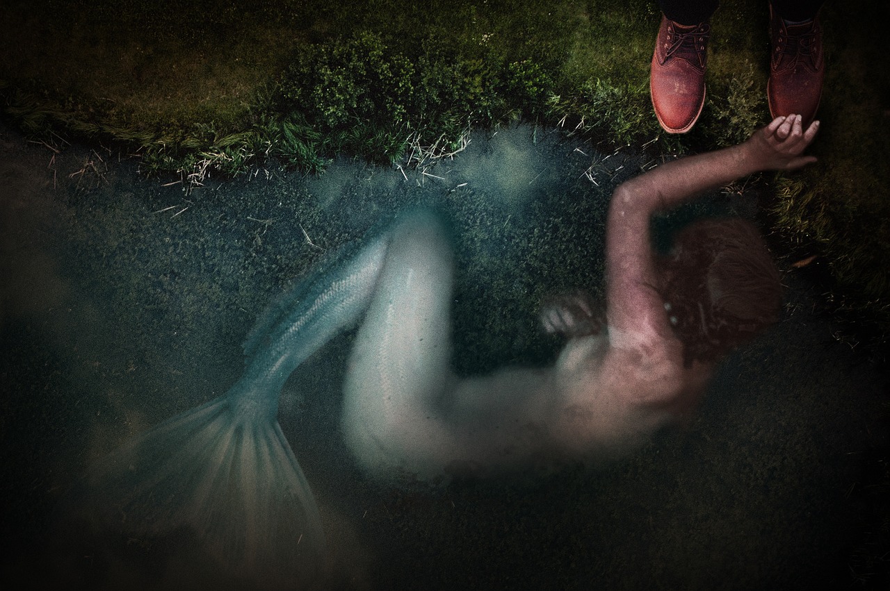 割雙眼皮明星背后的美麗故事揭秘