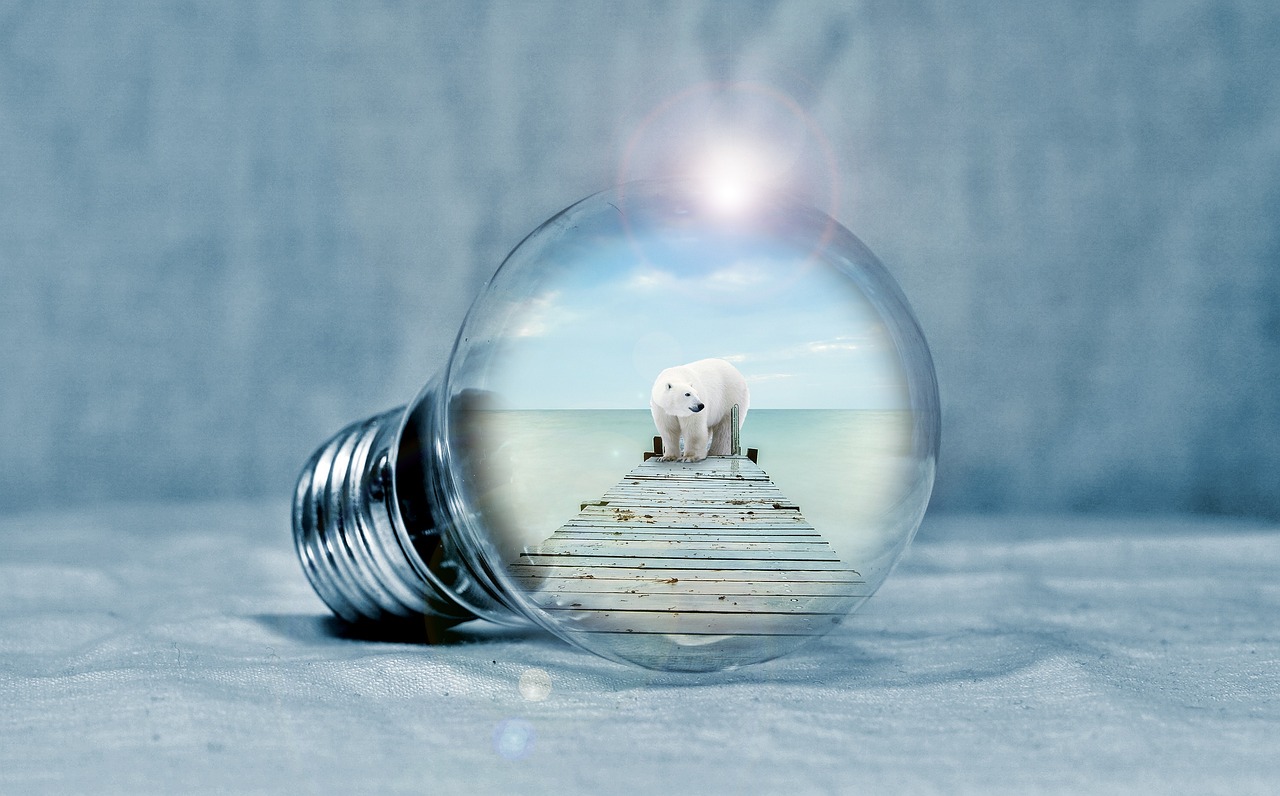 最新飲料瓶,環保創新與技術進步的完美融合