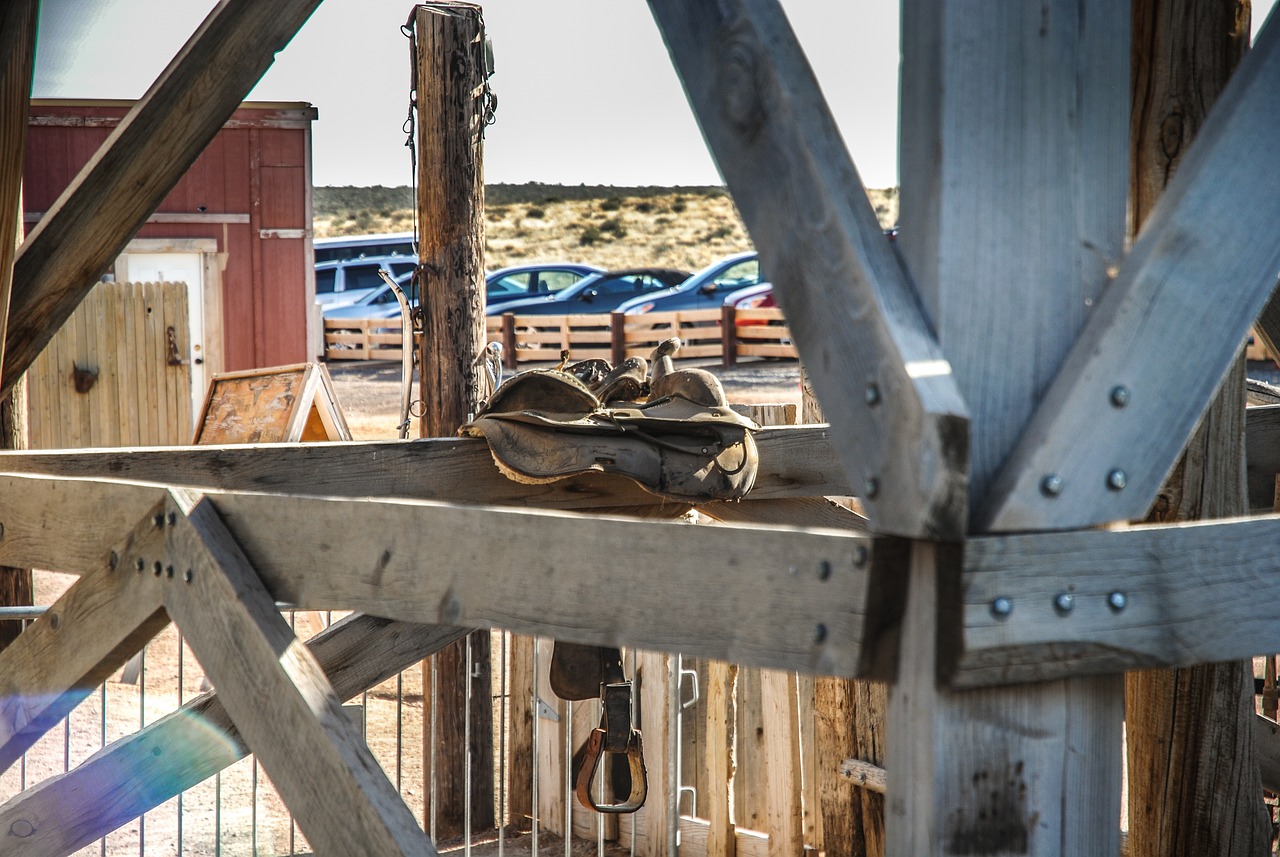 委內(nèi)瑞拉最新動態(tài)概覽