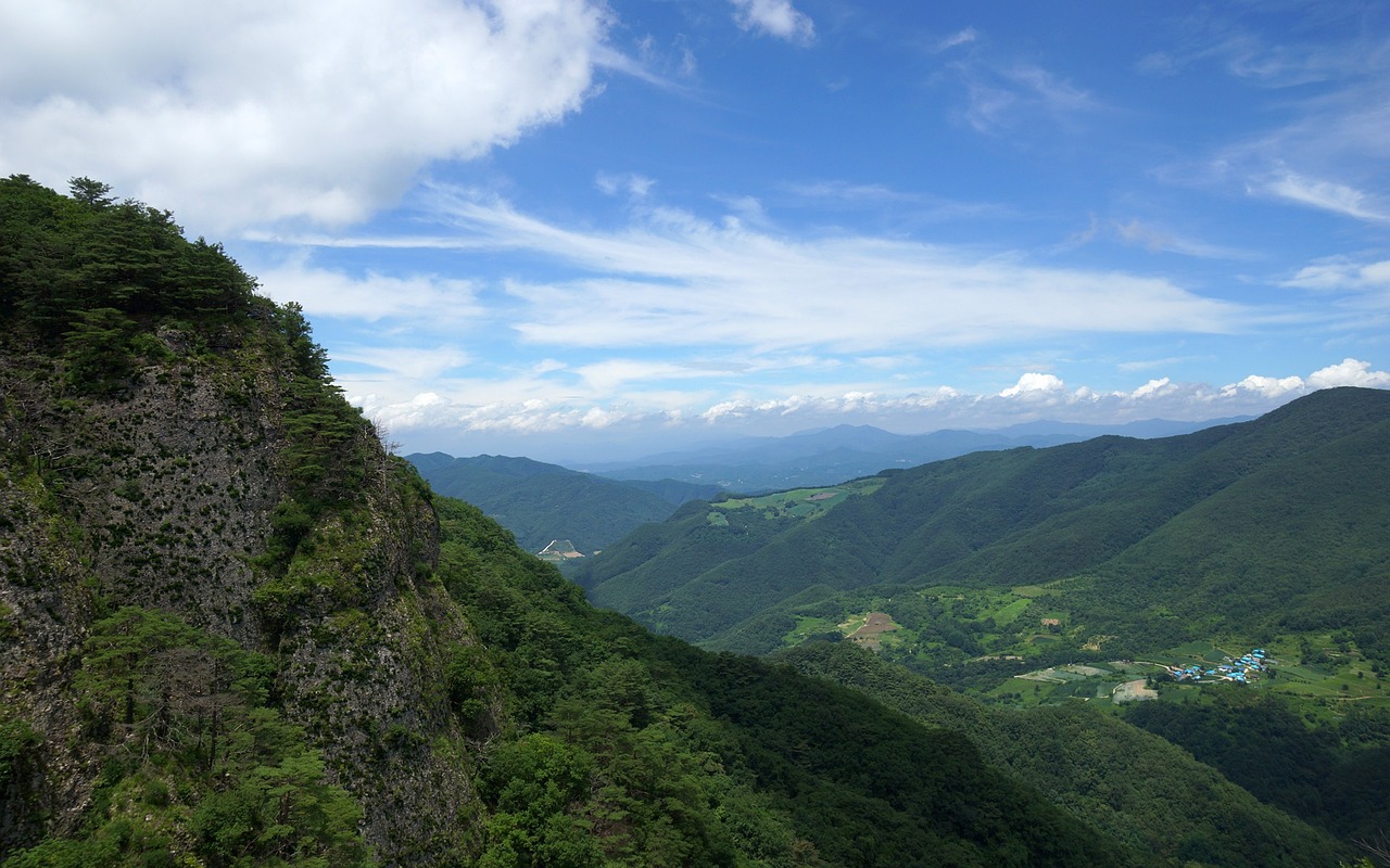 小科里欽科最新比賽動態及表現引人關注