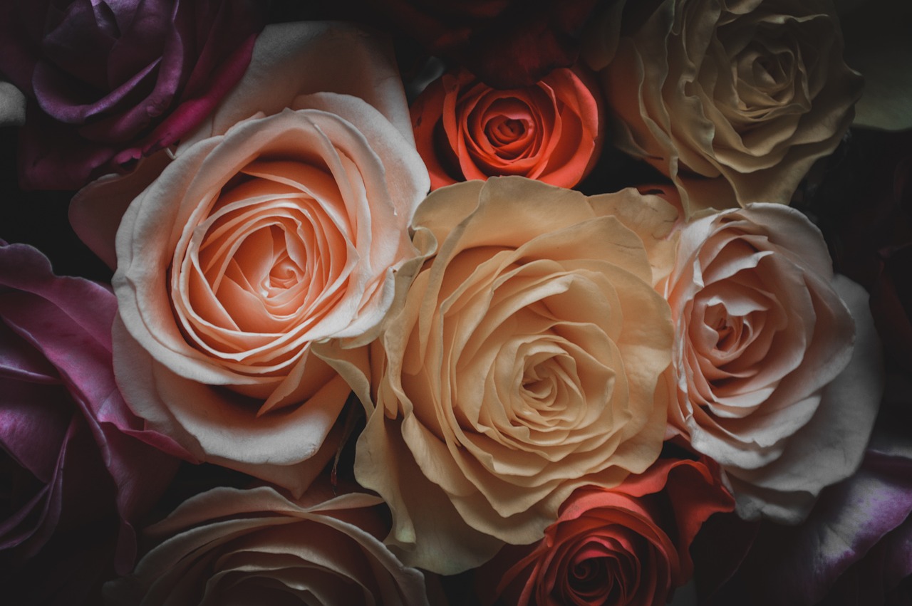 日本動漫情侶頭像，情感的象征與文化的展現，愛的視覺表達