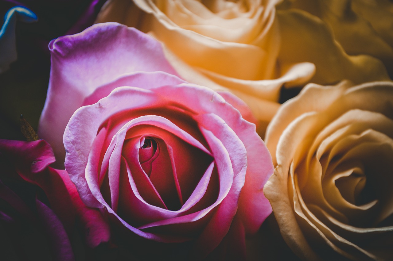 日本動漫情侶頭像,情感的象征與文化的展現,愛的視覺表達