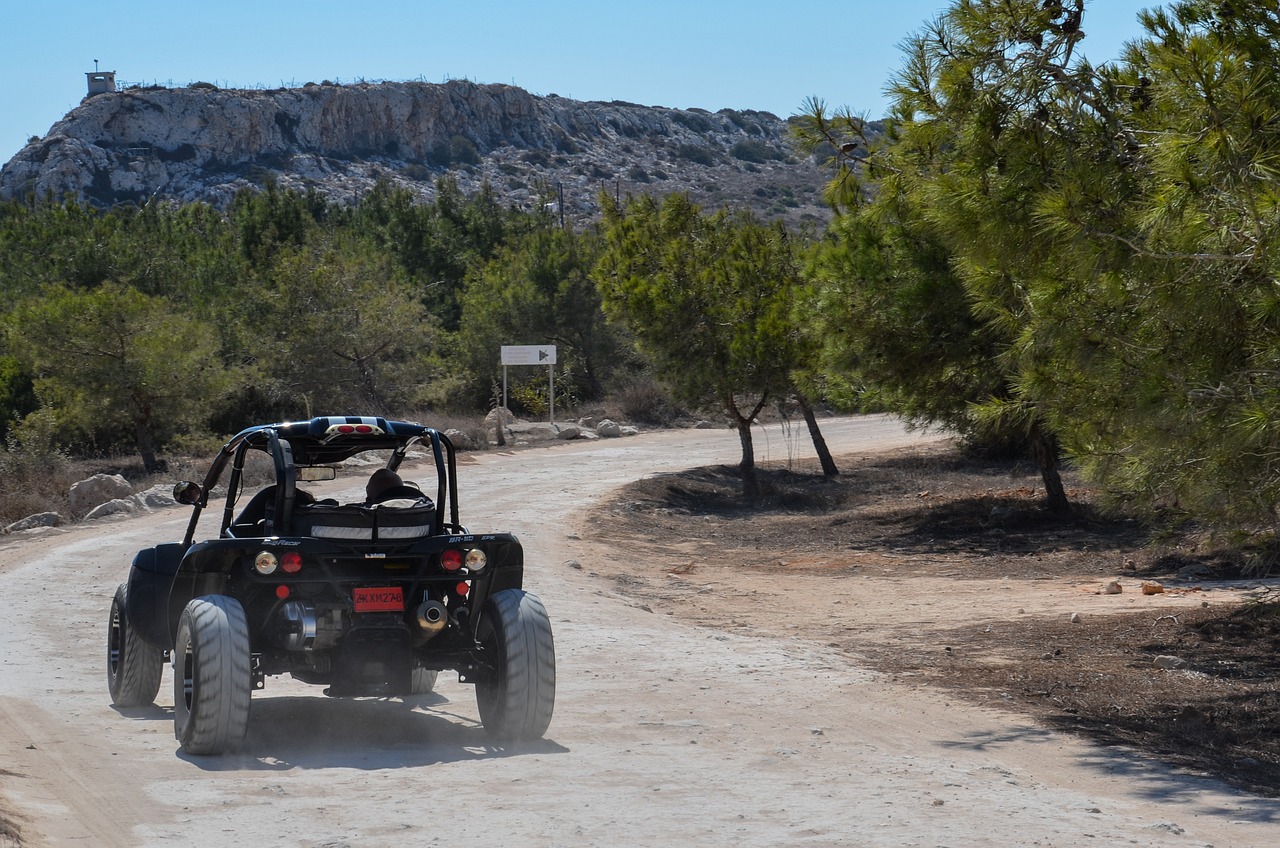 畢節樂尚公園最新動態更新，最新進展與資訊速遞