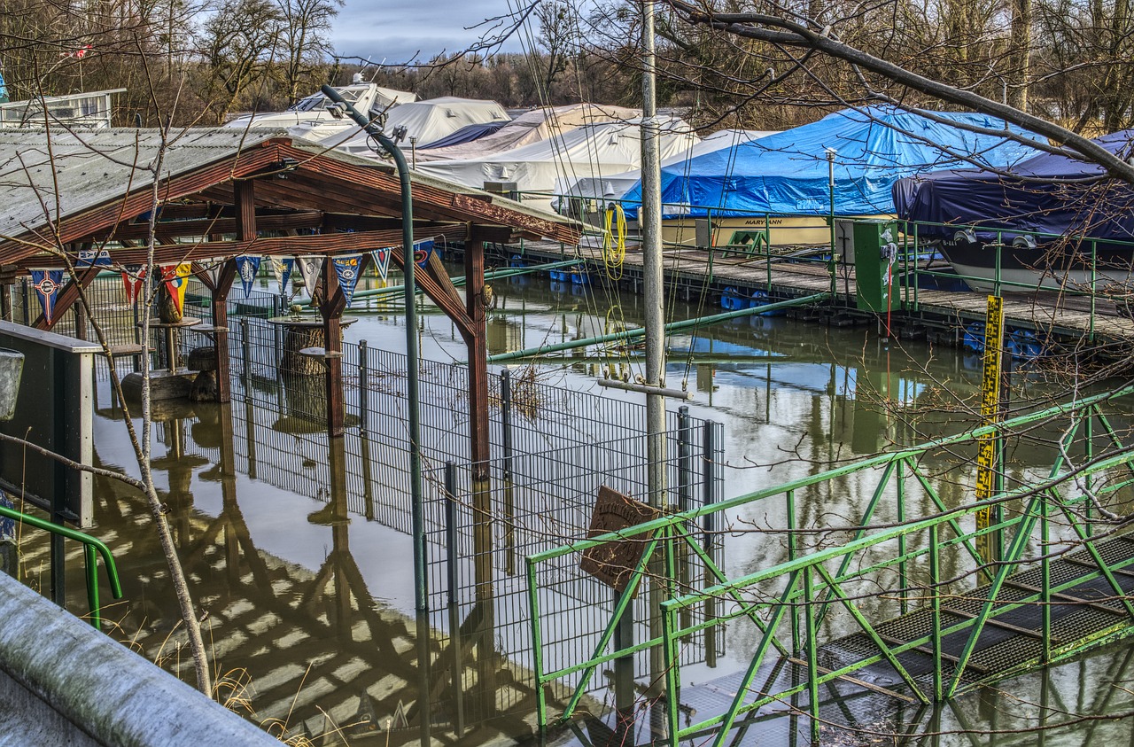 最新居住證上牌動態(tài)更新,最新資訊一網(wǎng)打盡