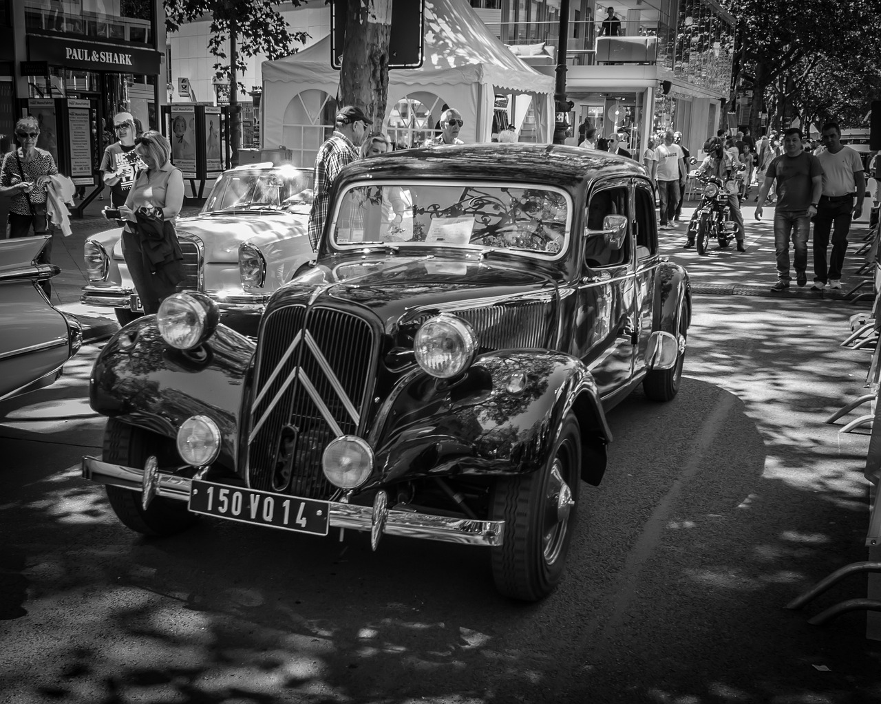 焦晃的最新動態與近況更新