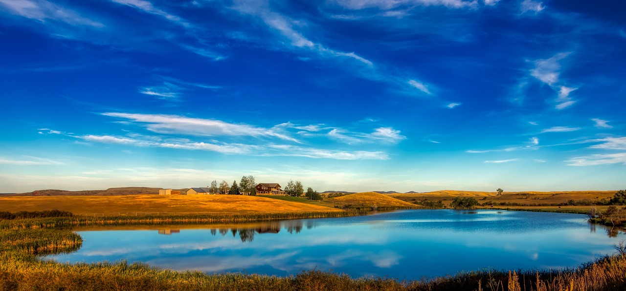 雙鷺來那度胺最新進展動態(tài)報道