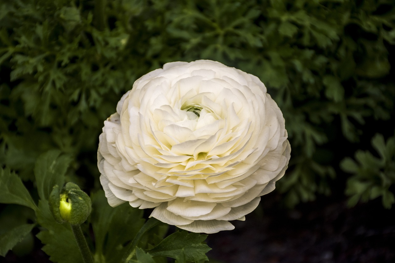 東寶生物最新動(dòng)態(tài)更新，最新消息匯總