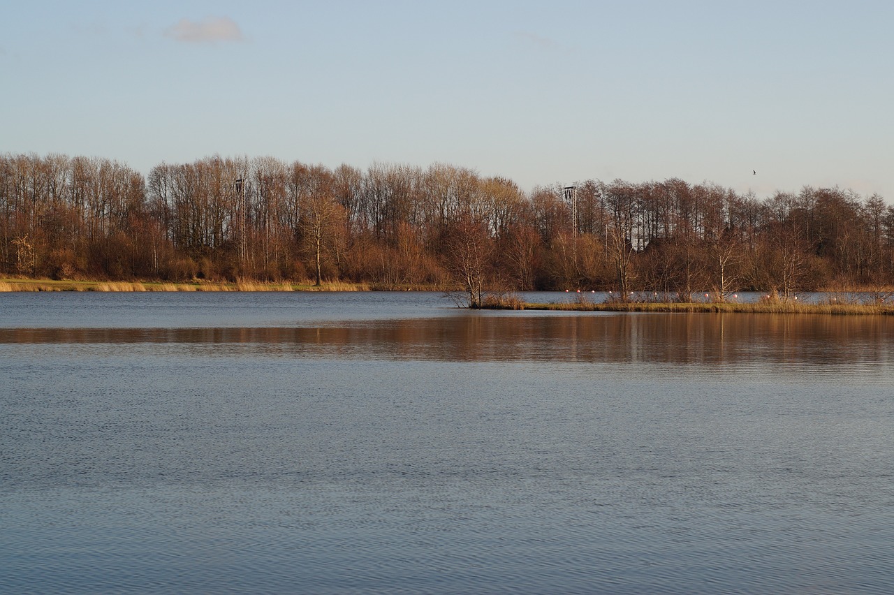 趙麗穎最新動態揭秘,璀璨星途與不斷突破的個人成長之路