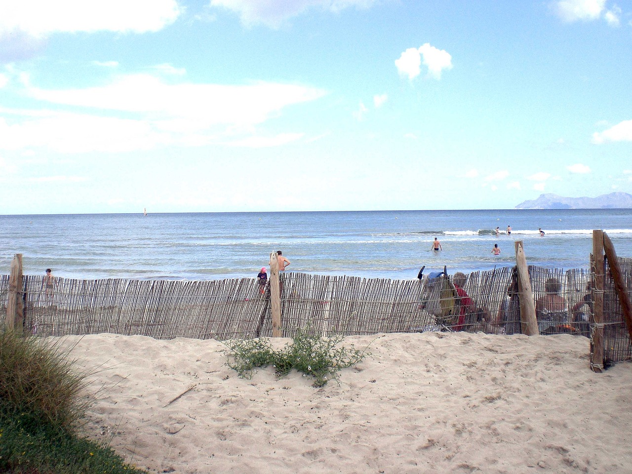 蒂亞最新動態，音樂與文化的融合之旅探索