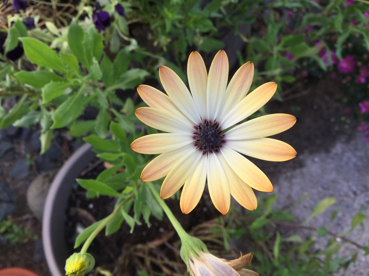 太原環保局最新動態更新，環保措施及成果揭曉