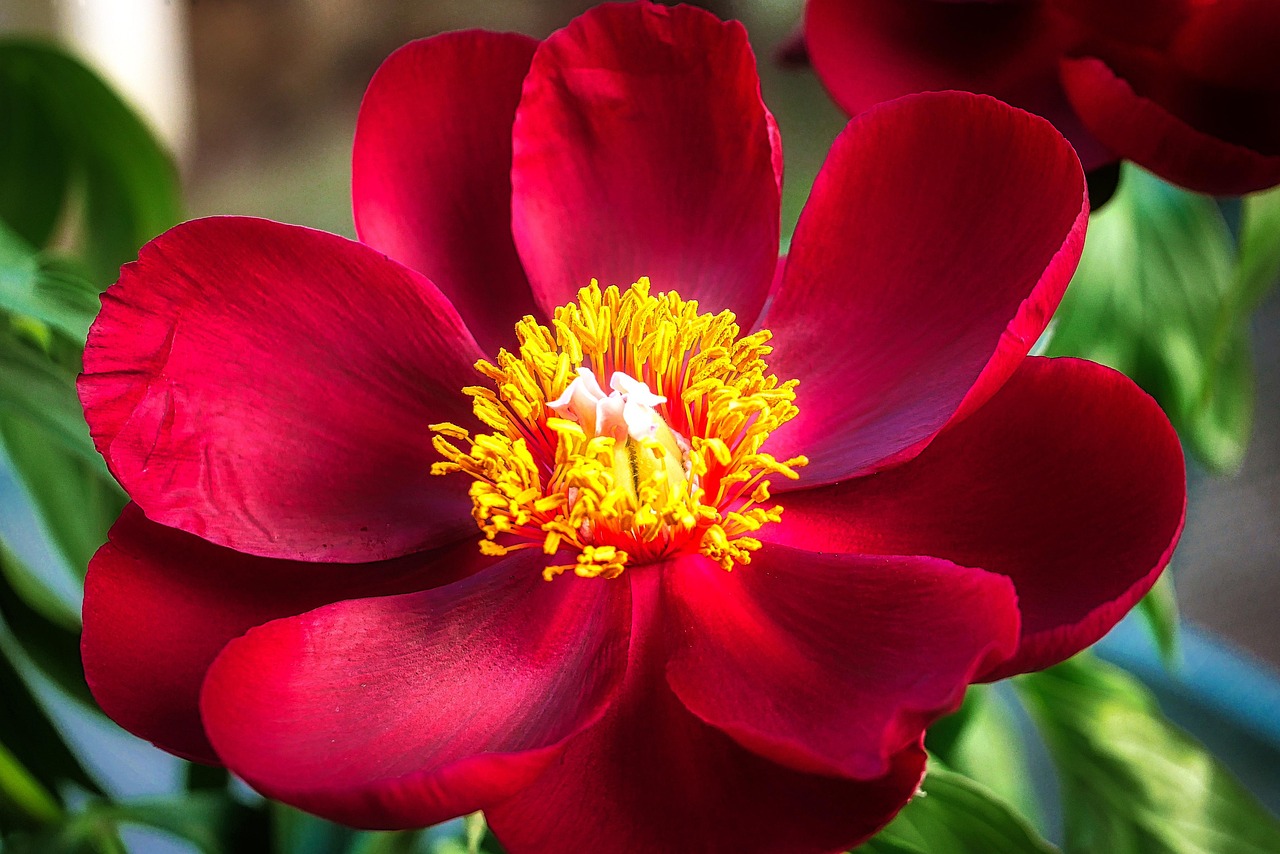 最新退休政策動(dòng)態(tài)概覽