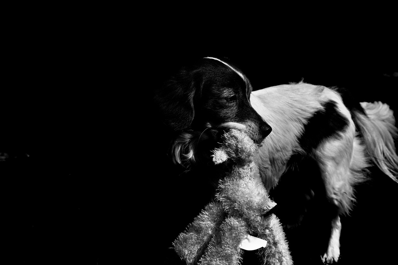 黑白動漫插畫，探索藝術魅力的獨特領域之旅