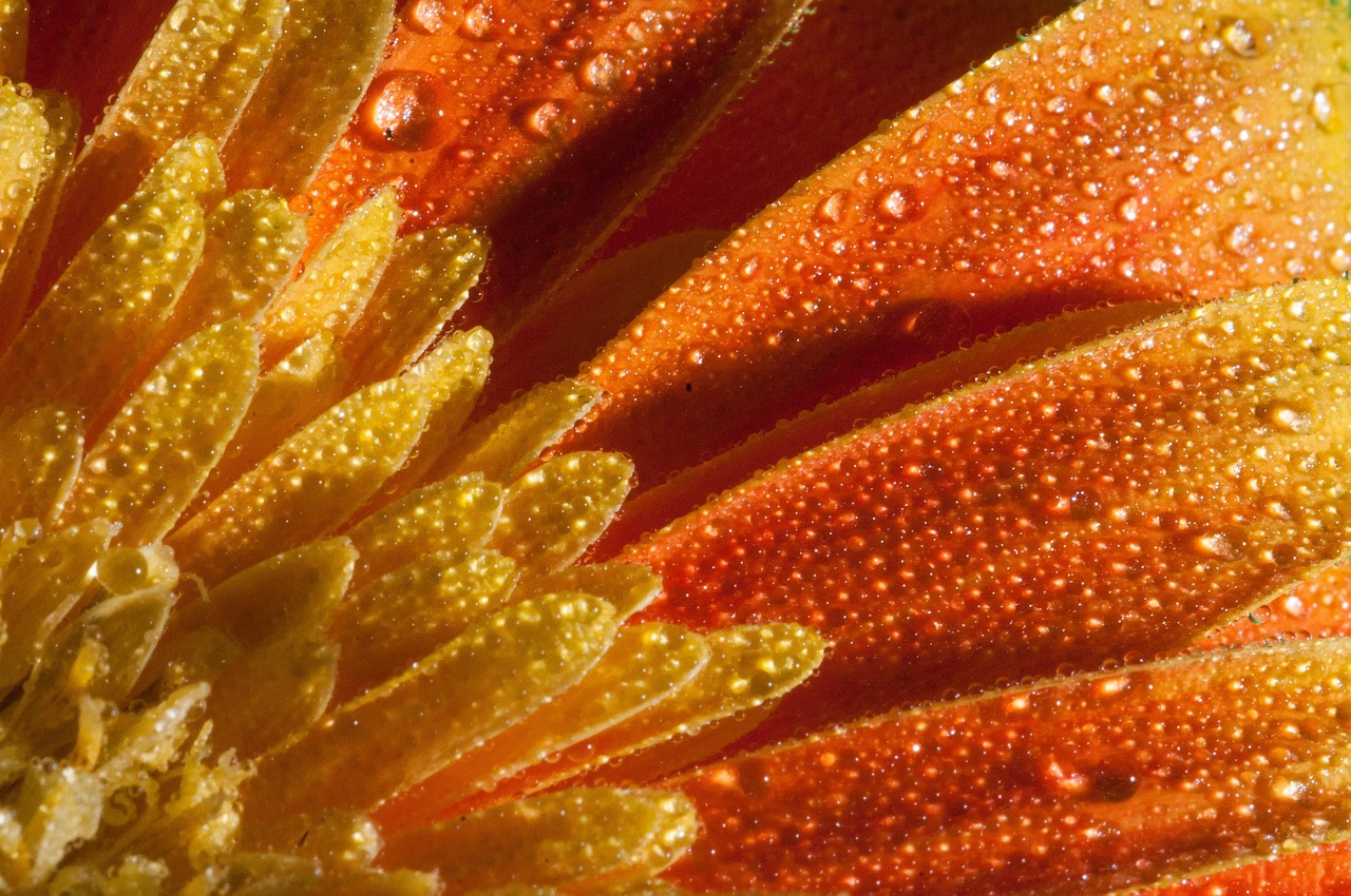 鄭州鈦合佳苑最新動態更新