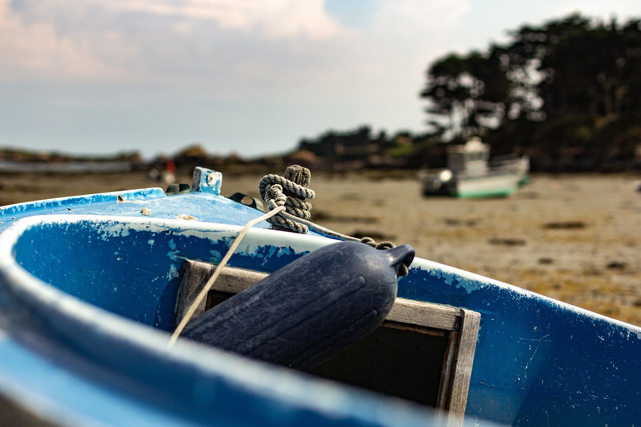 慶安疫情實時更新，最新動態與防控進展