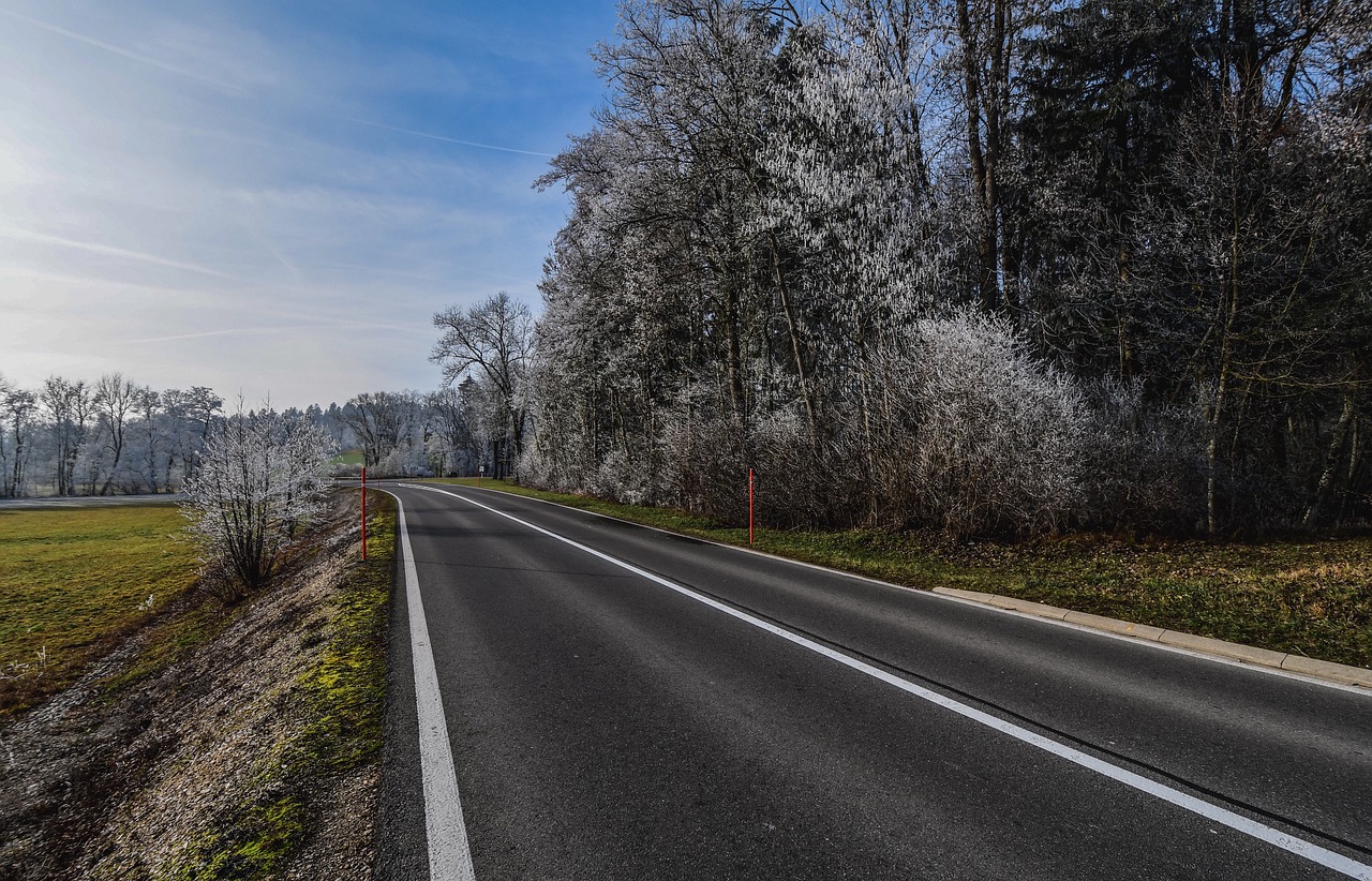 比賽感悟,挑戰(zhàn)與成長的交織之路