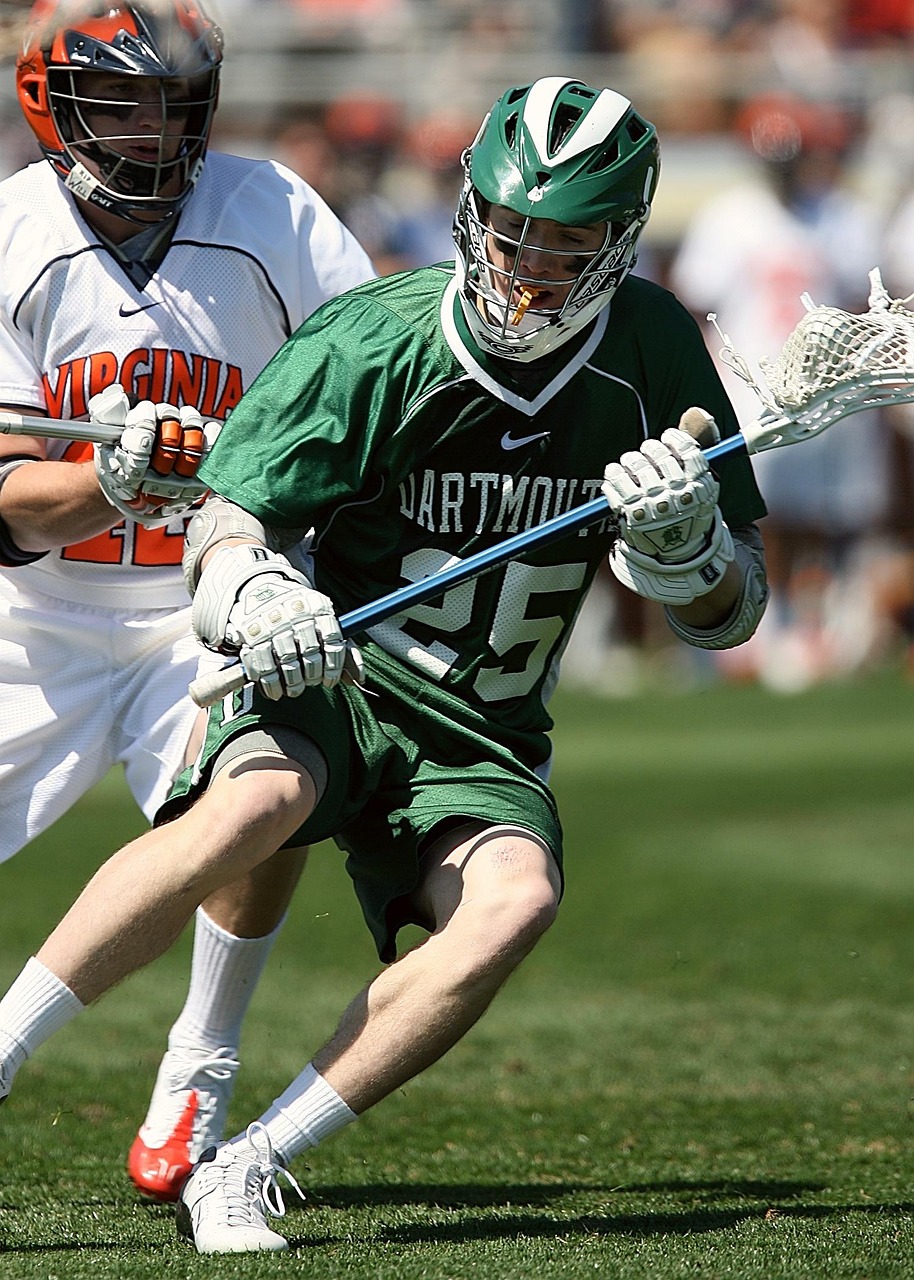 華清學府城最新動態更新概況